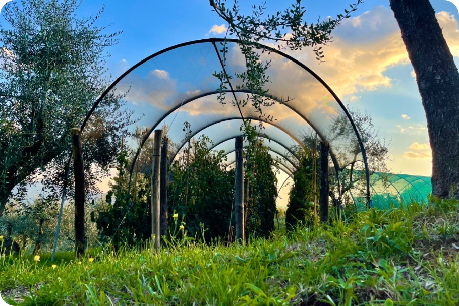 la fattoria di pane e marmellata 1